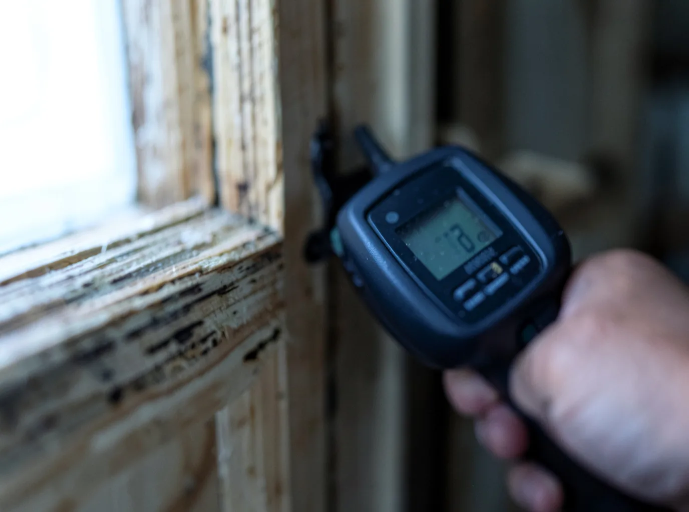 Moisture Inspection And Documentation in Orchard Park, NY